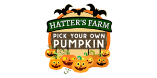Hatter's Farm - Pick Your Own Pumpkin
