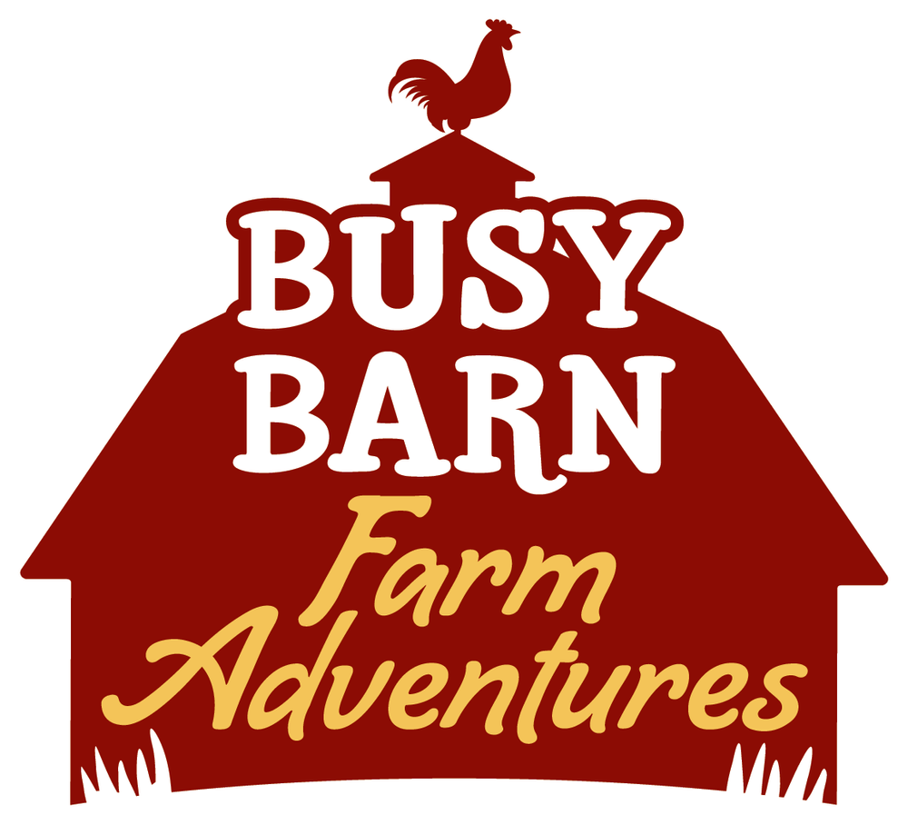 Busy Barn Farm Adventures - ticketing system integration