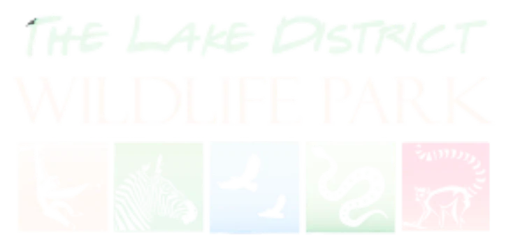 The Lake District Wildlife Park